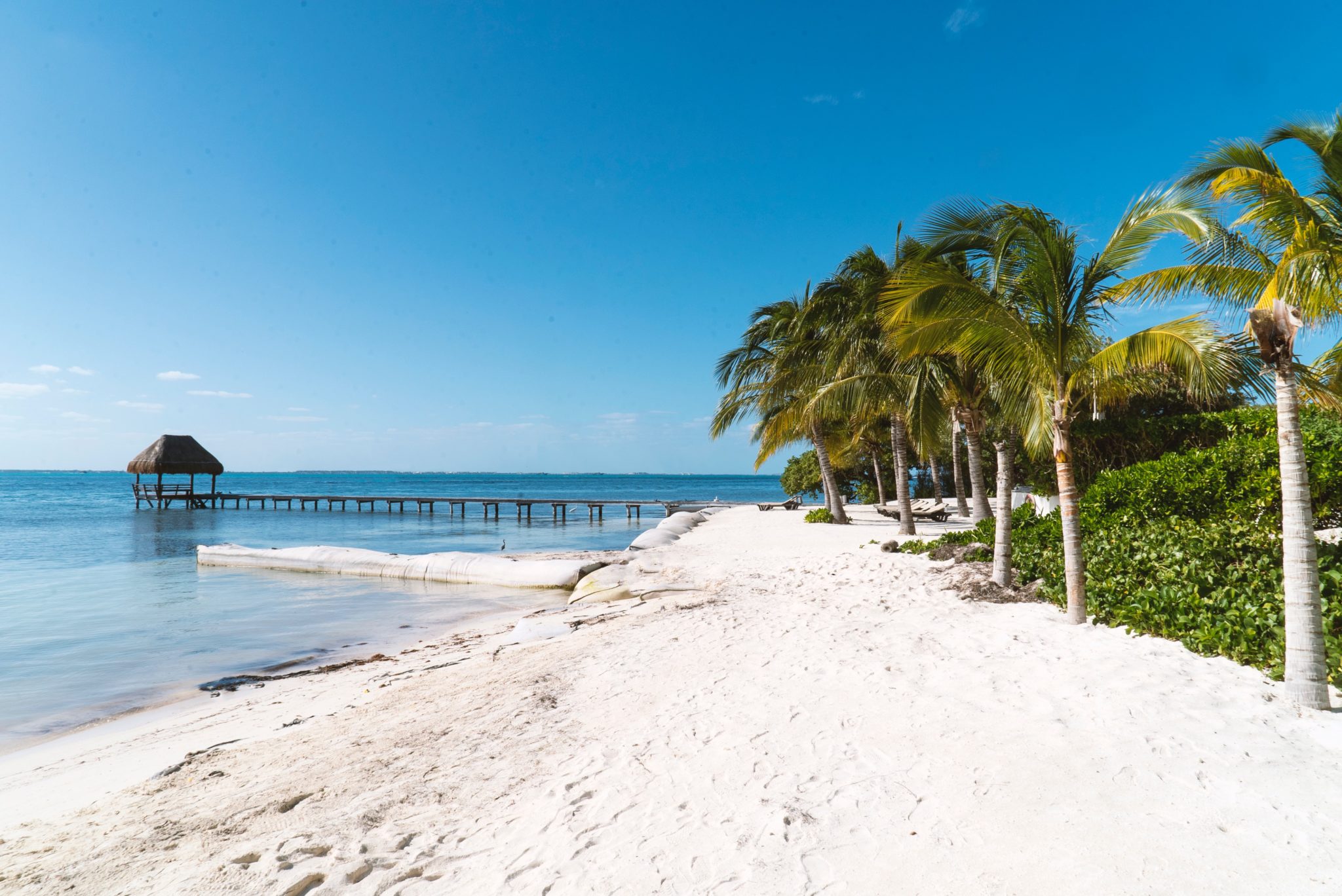 Tropical Beach